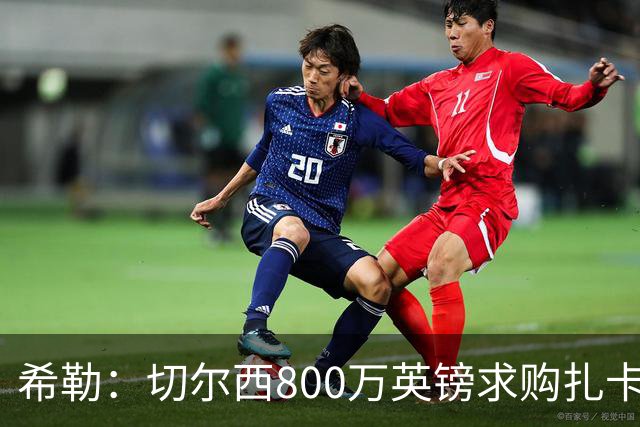 希勒：切尔西800万英镑求购扎卡太离谱，上赛季他是英超最佳之一